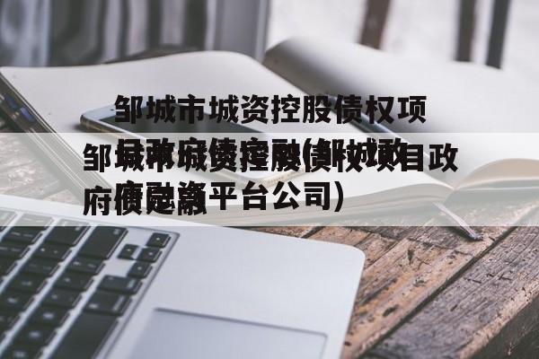 邹城市城资控股债权项目政府债定融(邹城政府融资平台公司)