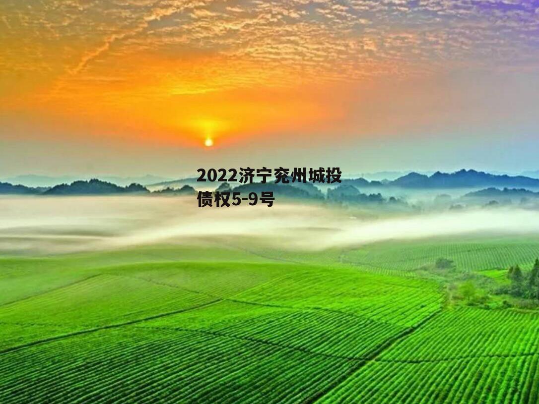 2022济宁兖州城投债权5-9号