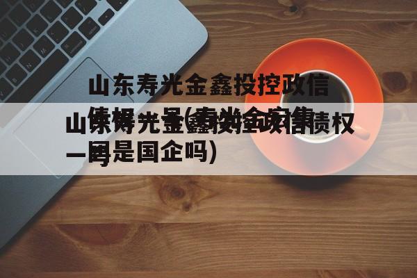 山东寿光金鑫投控政信债权一号(寿光金宏集团是国企吗)