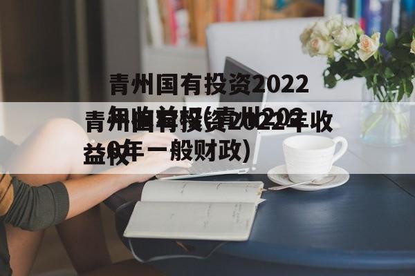 青州国有投资2022年收益权(青州2020年一般财政)