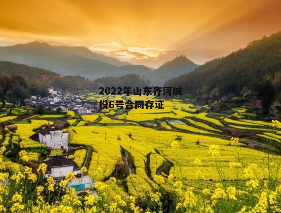 2022年山东齐河城投6号合同存证