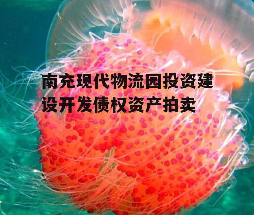 南充现代物流园投资建设开发债权资产拍卖