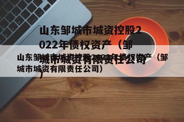 山东邹城市城资控股2022年债权资产（邹城市城资有限责任公司）