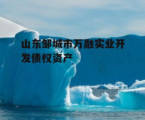 山东邹城市万融实业开发债权资产