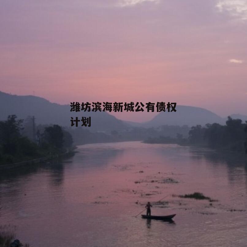 潍坊滨海新城公有债权计划