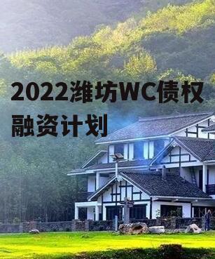 2022潍坊WC债权融资计划