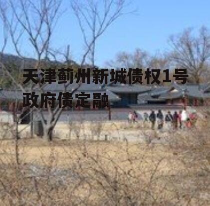 天津蓟州新城债权1号政府债定融