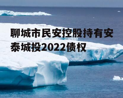 聊城市民安控股持有安泰城投2022债权