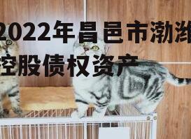 2022年昌邑市渤潍控股债权资产