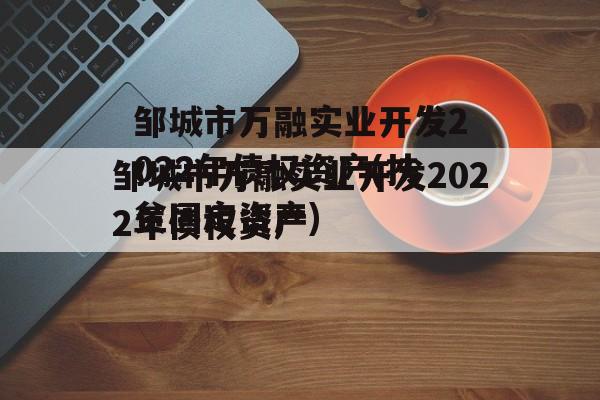 邹城市万融实业开发2022年债权资产(扶贫固定资产)