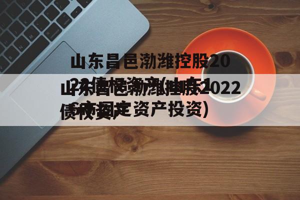 山东昌邑渤潍控股2022债权资产(山东16市固定资产投资)