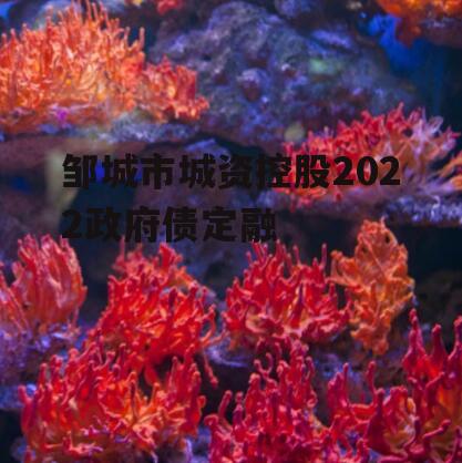 邹城市城资控股2022政府债定融