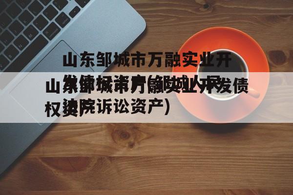 山东邹城市万融实业开发债权资产(邹城人民法院诉讼资产)