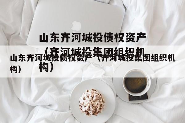山东齐河城投债权资产（齐河城投集团组织机构）