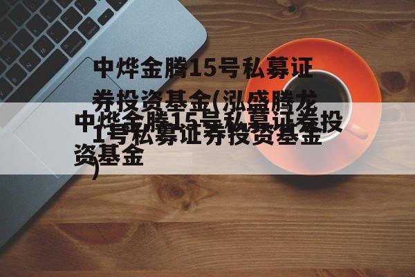 中烨金腾15号私募证券投资基金(泓盛腾龙1号私募证券投资基金)