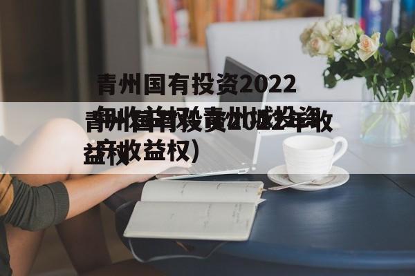 青州国有投资2022年收益权(青州城投资产收益权)