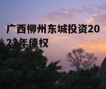 广西柳州东城投资2022年债权