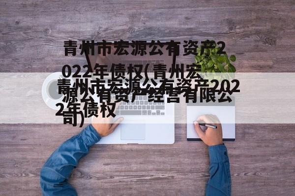 青州市宏源公有资产2022年债权(青州宏源公有资产经营有限公司)