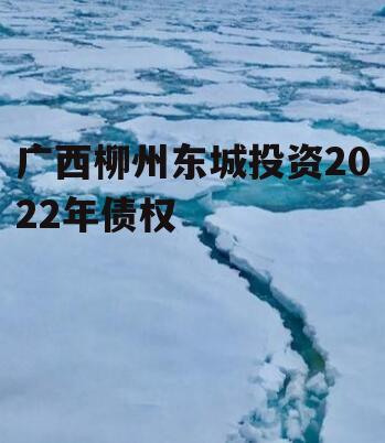 广西柳州东城投资2022年债权