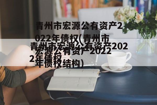 青州市宏源公有资产2022年债权(青州市宏源公有资产2022年债权结构)