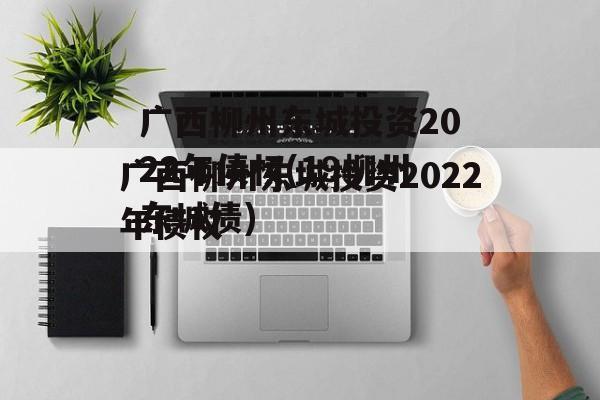 广西柳州东城投资2022年债权(19柳州东城债)