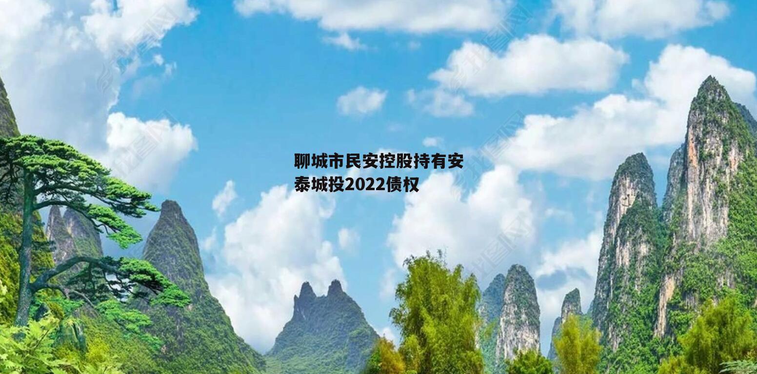 聊城市民安控股持有安泰城投2022债权