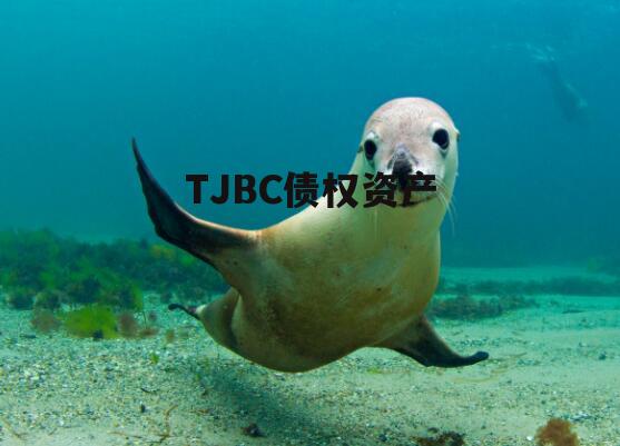 TJBC债权资产