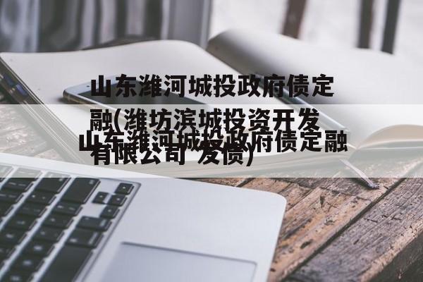 山东潍河城投政府债定融(潍坊滨城投资开发有限公司 发债)