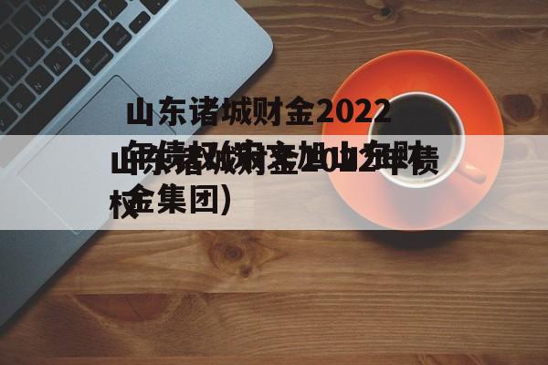 山东诸城财金2022年债权(宋文旭山东财金集团)