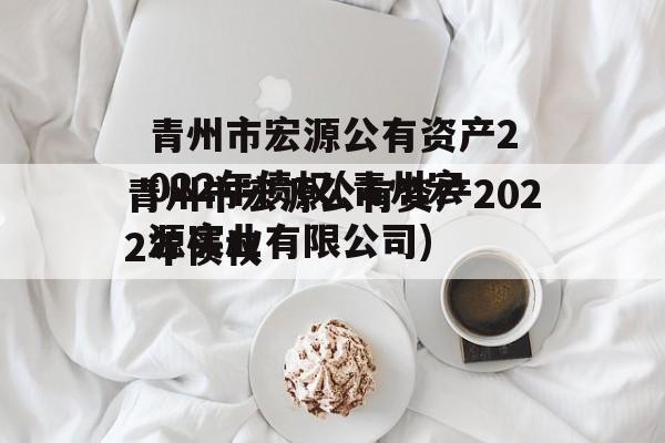 青州市宏源公有资产2022年债权(青州宏源实业有限公司)