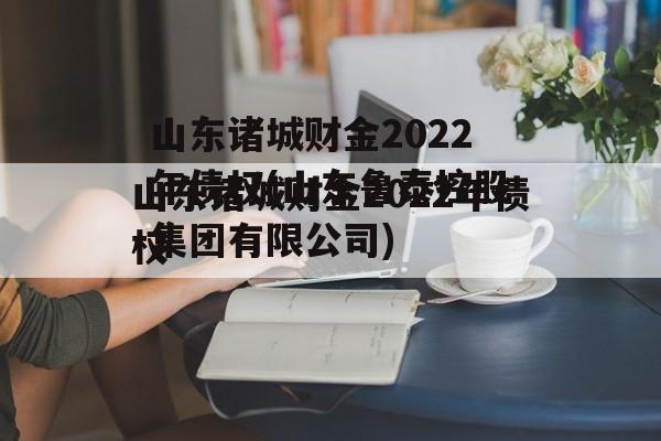 山东诸城财金2022年债权(山东鲁泰控股集团有限公司)