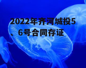 2022年齐河城投5、6号合同存证