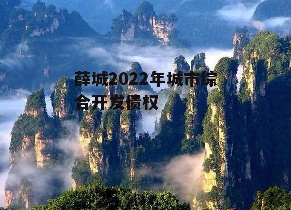 薛城2022年城市综合开发债权