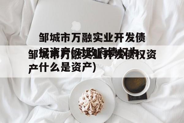 邹城市万融实业开发债权资产(对政府债权为什么是资产)