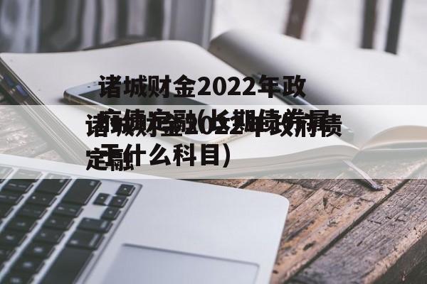 诸城财金2022年政府债定融(长期债券属于什么科目)