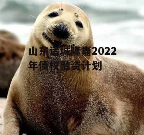 山东诸城隆嘉2022年债权融资计划