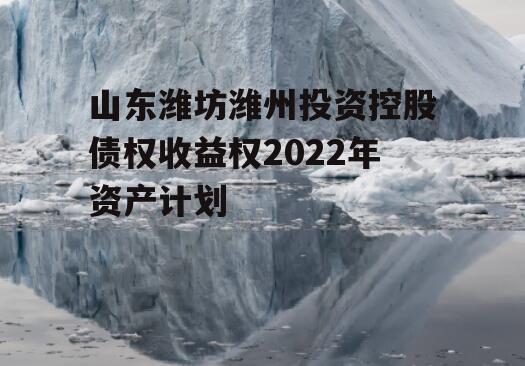 山东潍坊潍州投资控股债权收益权2022年资产计划