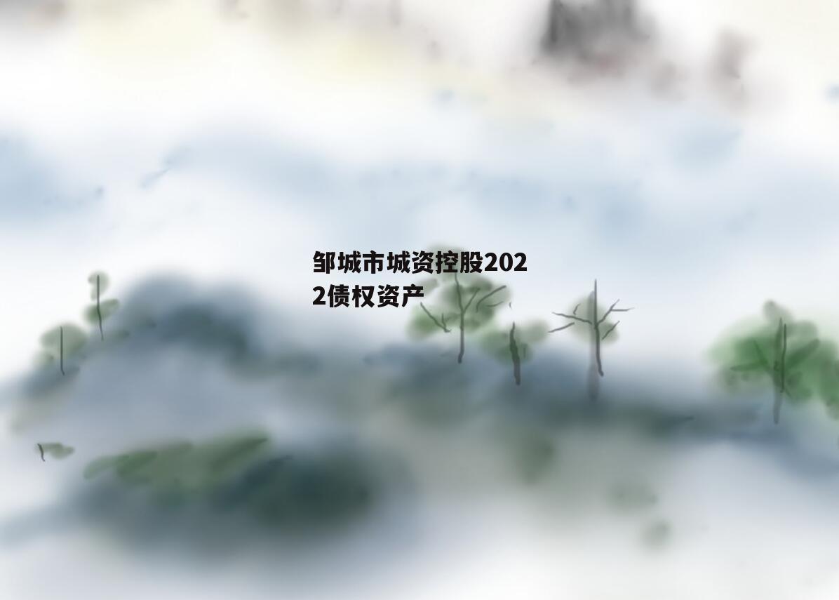 邹城市城资控股2022债权资产