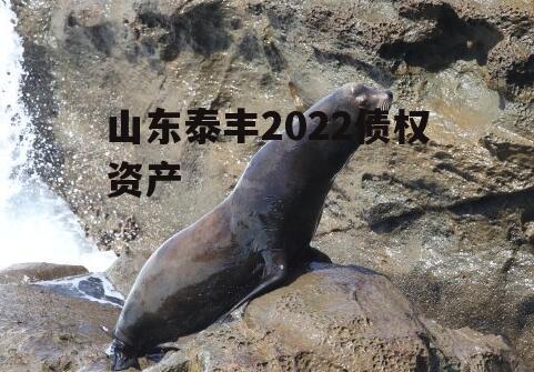 山东泰丰2022债权资产