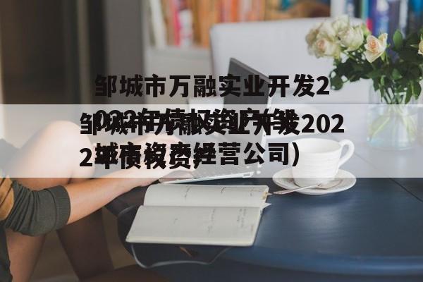 邹城市万融实业开发2022年债权资产(邹城市资产经营公司)