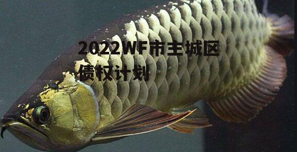 2022WF市主城区债权计划