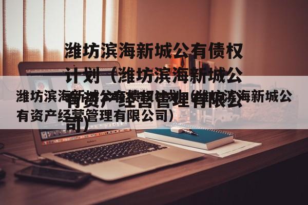 潍坊滨海新城公有债权计划（潍坊滨海新城公有资产经营管理有限公司）