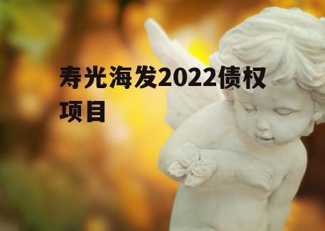 寿光海发2022债权项目