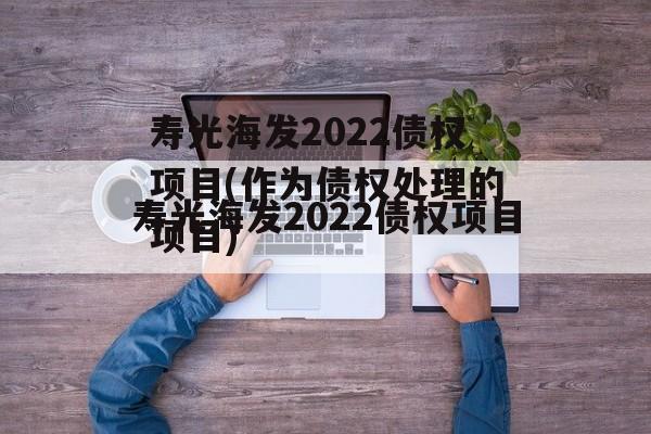 寿光海发2022债权项目(作为债权处理的项目)