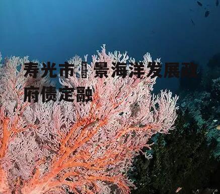 寿光市昇景海洋发展政府债定融