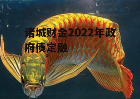 诸城财金2022年政府债定融