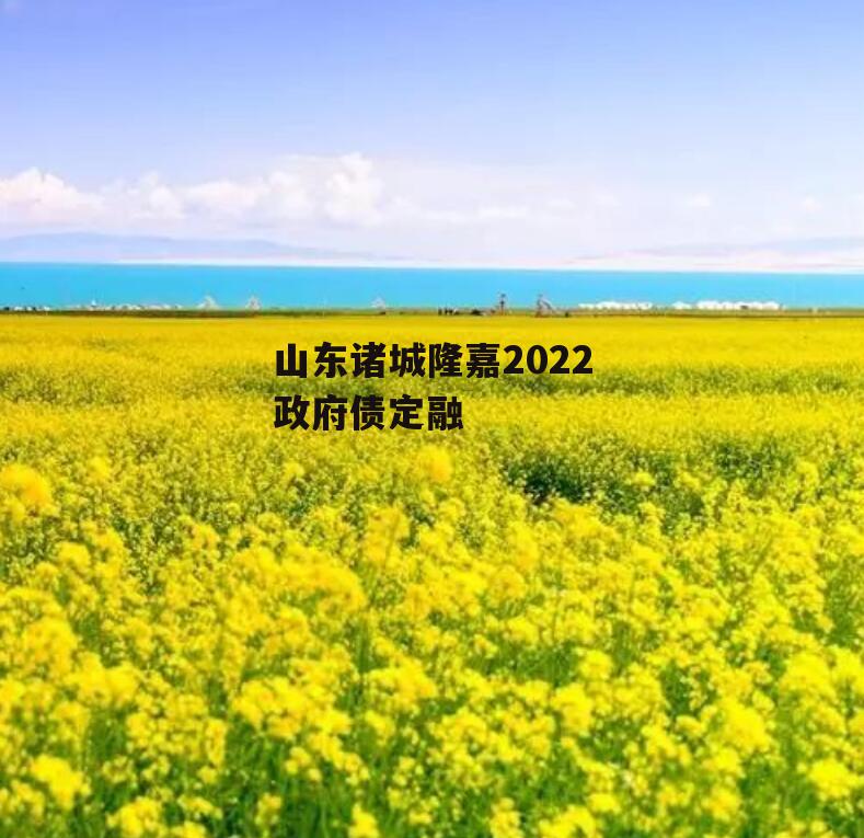 山东诸城隆嘉2022政府债定融