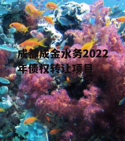 成都成金水务2022年债权转让项目