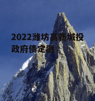 2022潍坊高新城投政府债定融