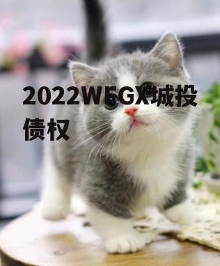 2022WFGX城投债权